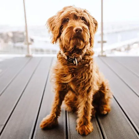 6 Personen In Διαμέρισμα *