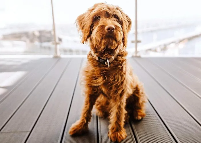 6 Personen In Apartamento *